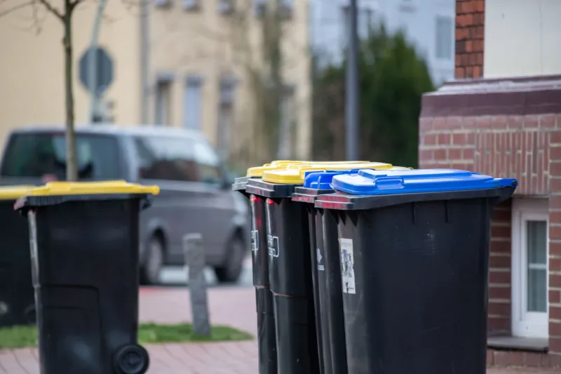 Wheelie Good Anxiety: The Deeply Unhinged British Science of Getting Your Bins Out on Time